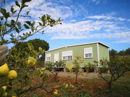 Casa Móvil 4